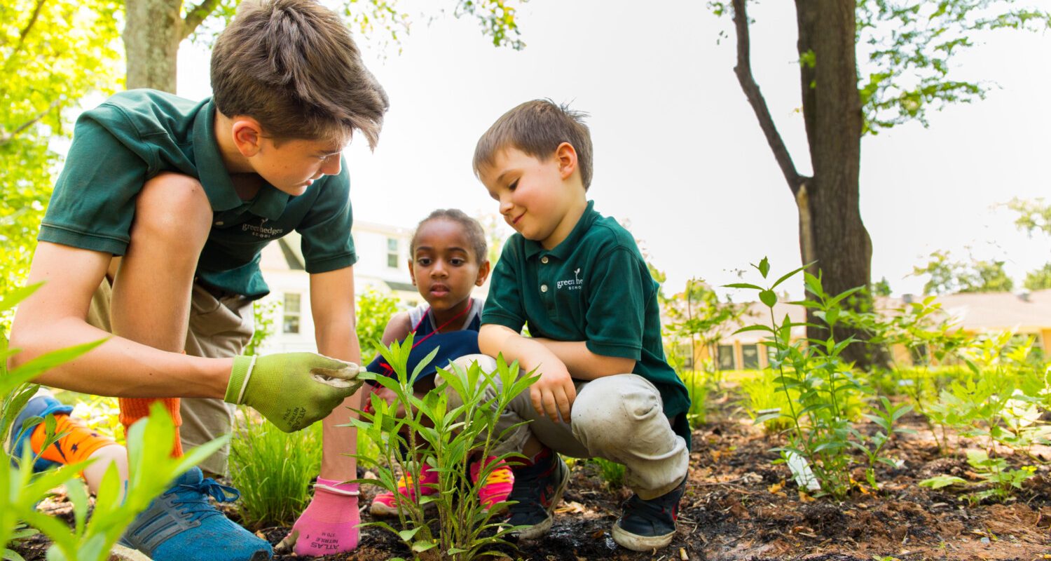 Green Hedges School Private School in Vienna, VA Montessori